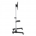 BIT FORCE tilting floor stand for TV GUARD FS-86-T