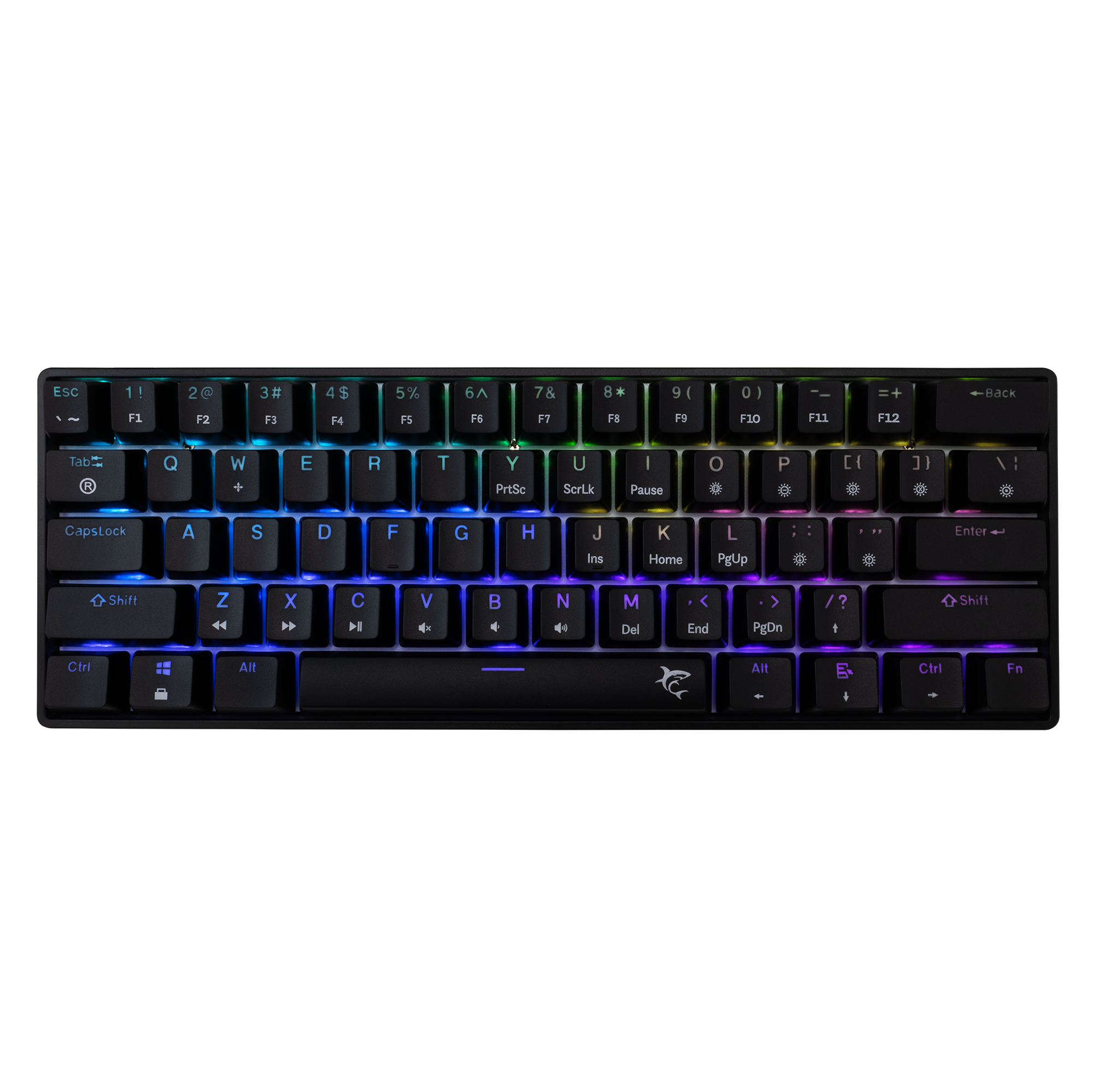WHITE SHARK gaming keyboard GK-004121 SHINOBI-2 black blue sw. US